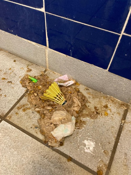 DrainFix HK 從廁所挖出嘅塞渠物:一個完整羽毛球 + 大量纖維廁紙堆積